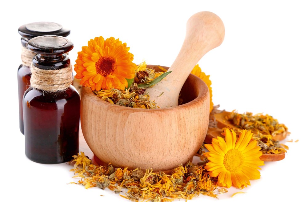 Poletna zeliščna apotekarna: Rastline v tem času pridobivajo moč (foto: Shutterstock)