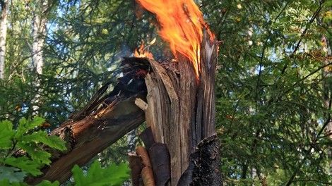 Na Švedskem se borijo proti številnim gozdnim požarom
