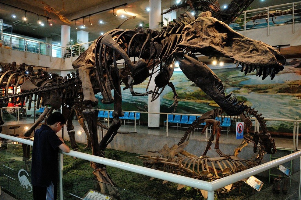 Novo odkritje o tiranozavrih: jezik je imel zraščen z ustnim dnom (foto: profimedia)