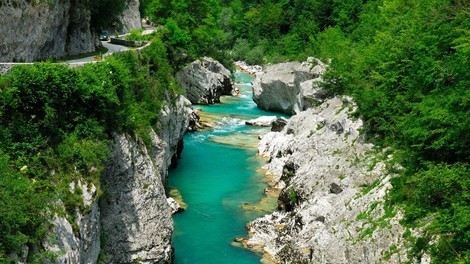 Preiskava pogina rib na sotočju Soče in Tolminke še ni prinesla rezultatov