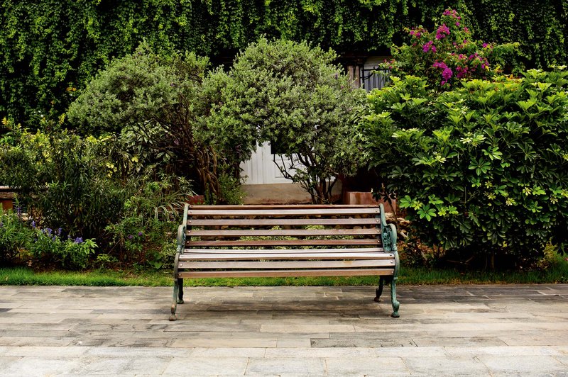 Nezahtevni vrtovi: Dobro načrtovanje prihrani veliko dela (foto: Shutterstock)