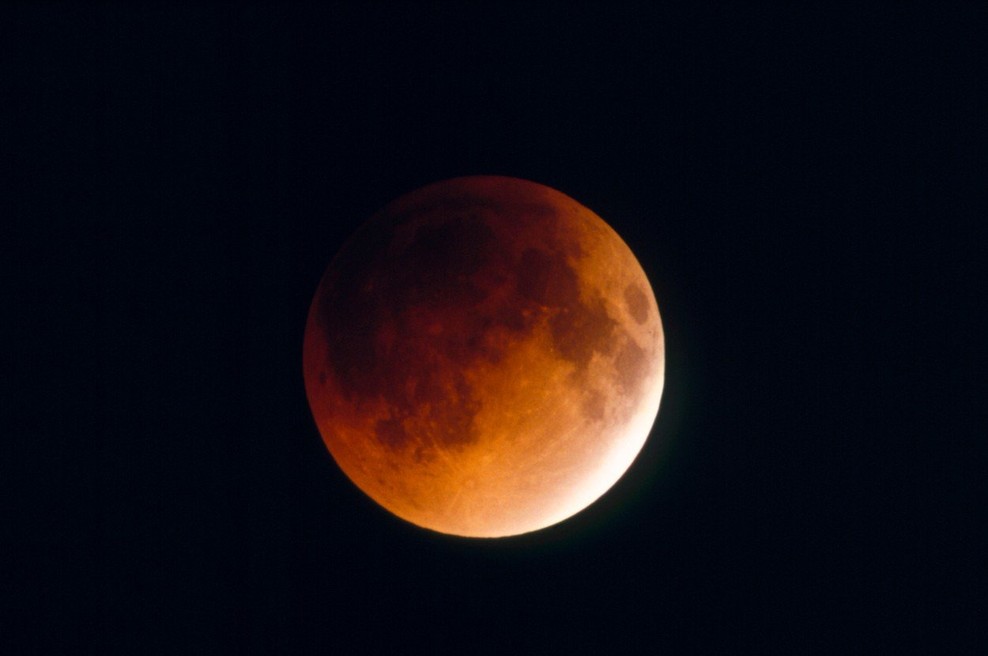 Na prvo turistično pot okoli Lune bo šel japonski milijarder! (foto: Profimedia)
