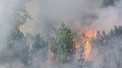 Jadranska magistrala zaprta zaradi požara pri Omišu, kraj Mimica brez elektrike