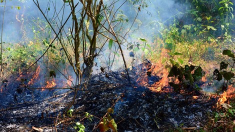 Po šestih letih je spet zagorelo na težko dostopnem območju med Novo Gorico in Grgarjem