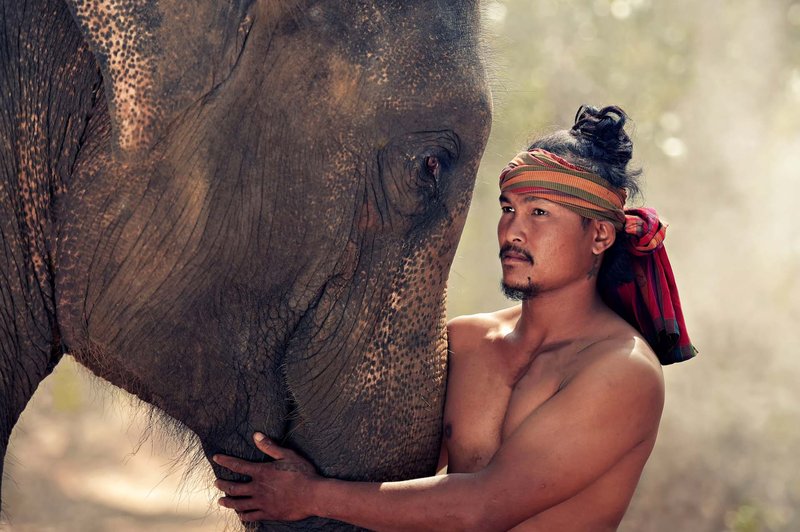 Slonja "svetišča" in opozorila za popotnike, ki bi jih hoteli obiskati (foto: Shutterstock)
