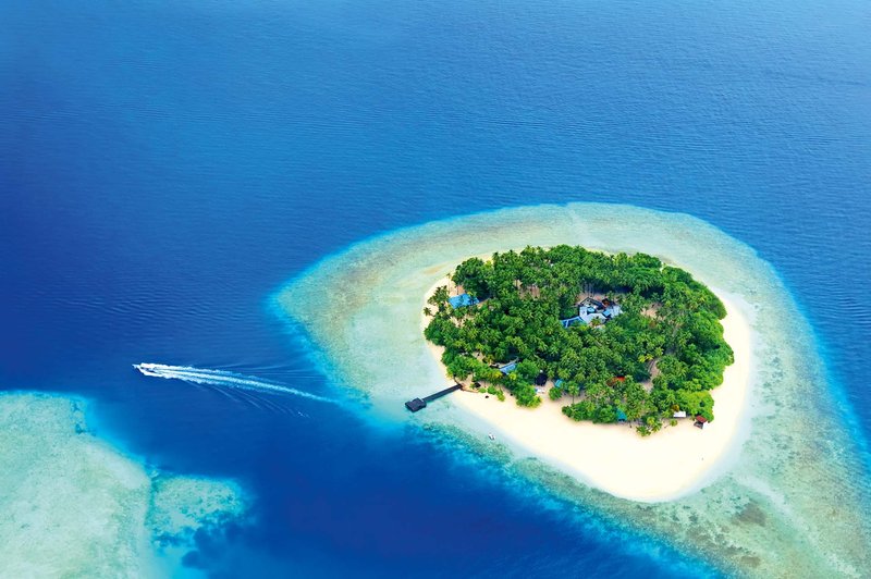 Otoki, ki jih lahko najamete - preverite, kje jih najdete! (foto: Shutterstock)