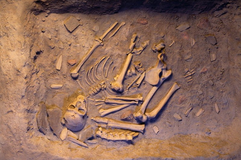 Okritje prvega primera predzgodovinskega mešanja sorodnikov sodobnega človeka (foto: Profimedia)