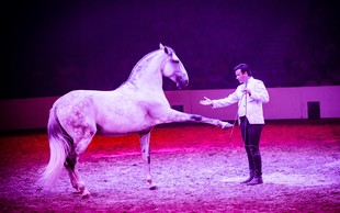 V Lipico prihaja svetovno znani šepetalec konjem