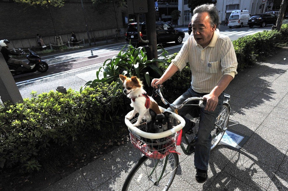 Japonski rekordi: Imajo že skoraj 70.000 stoletnikov! (foto: Profimedia)