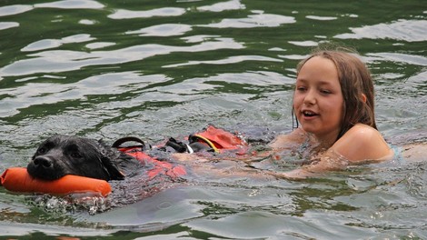 Svetovno prvenstvo reševalnih psov v Ljubljani: 130 psov in vodnikov