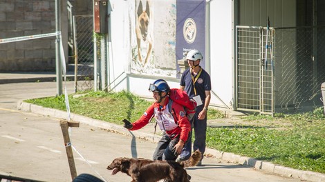 Člani Enote reševalnih psov Slovenije ponovno v svetovnem vrhu!