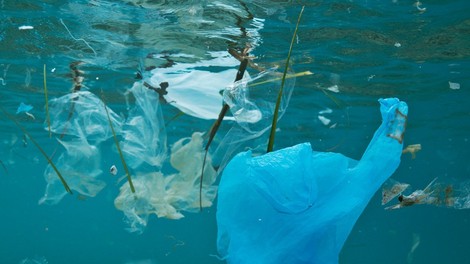 Globalno partnerstvo proti onesnaževanju s plastiko