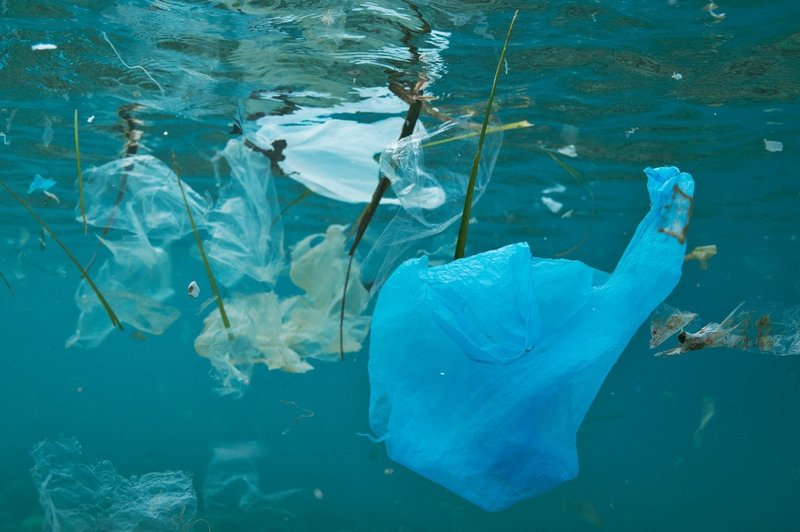 Globalno partnerstvo proti onesnaževanju s plastiko (foto: profimedia)