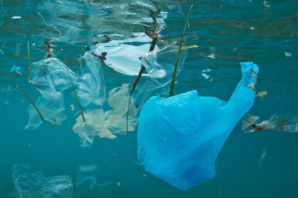 Globalno partnerstvo proti onesnaževanju s plastiko (foto: profimedia)