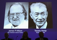 Nobelovca James P. Allison in Tasuku Honjo nad raka z imunoterapijo!