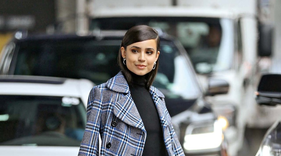 Sofia Carson: Šik videz v karu (foto: Profimedia)