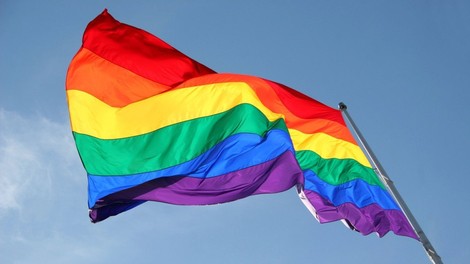Avstrija: Prva poroka istospolnega para