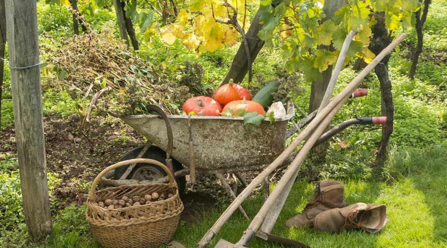 Pravočasna zaščita vrta pred mrazom (foto: SHUTTERSTOCK)