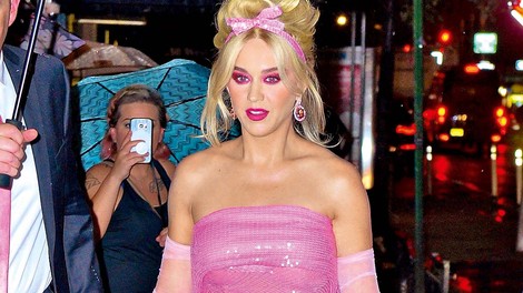Katy Perry bo naredila premor v karieri