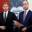 Princ Harry in William odslej v javnosti le še redko skupaj