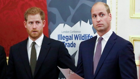 Princ Harry in William odslej v javnosti le še redko skupaj