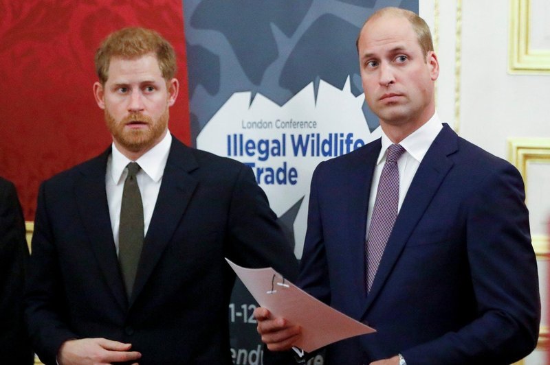 Princ Harry in William odslej v javnosti le še redko skupaj (foto: Profimedia)