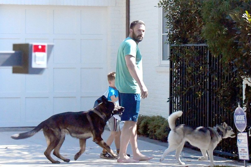 Ben Affleck po boju z odvisnostjo: Bos se sprehaja s svojima kužkoma (foto: Profimedia)