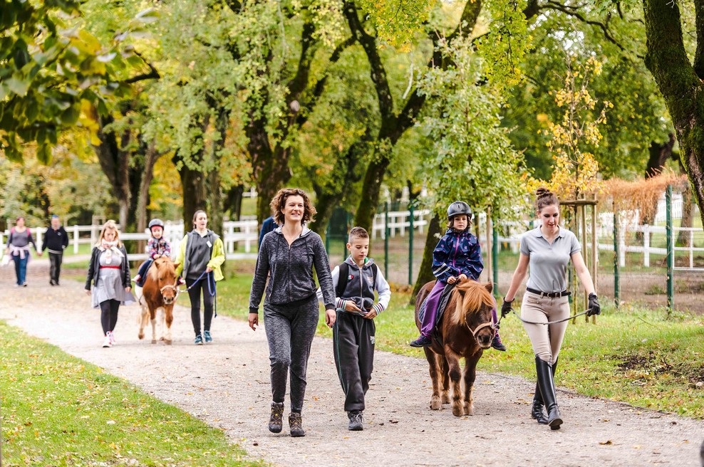 Nepozaben dan v "Začarani Lipici" (foto: Mediaspeed)