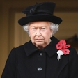 Kraljica Elizabeta II. išče oskrbnika konjev in ponuja 25.000 evrov plače na leto