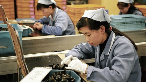 Grozljive razmere v kitajskih tovarnah spodbujajo samomore, kaže študija!