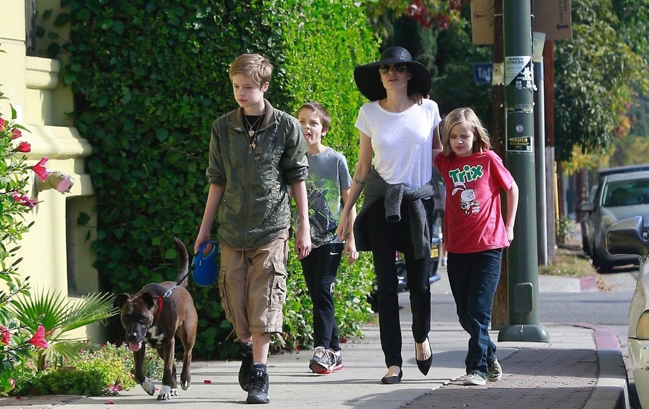 Angelina Jolie: Modrček je pustila doma! (foto: Profimedia)