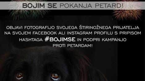Pridružujemo se kampanji #BOJIMSE, ker smo na strani živali in zato ne uporabljamo pirotehnike!
