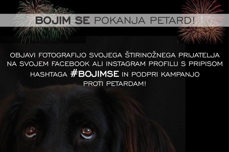 Pridružujemo se kampanji #BOJIMSE, ker smo na strani živali in zato ne uporabljamo pirotehnike! (foto: #BojimSe Press)