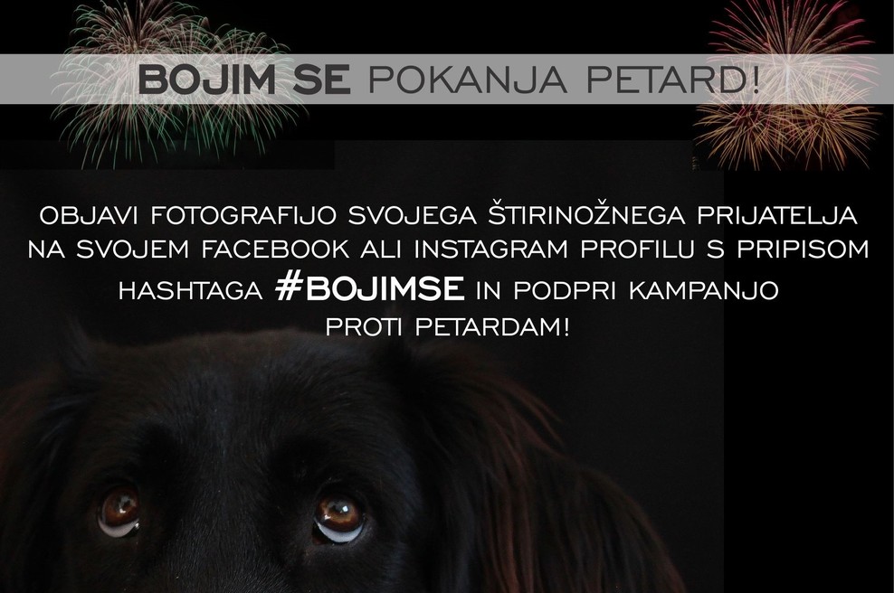 Pridružujemo se kampanji #BOJIMSE, ker smo na strani živali in zato ne uporabljamo pirotehnike! (foto: #BojimSe Press)