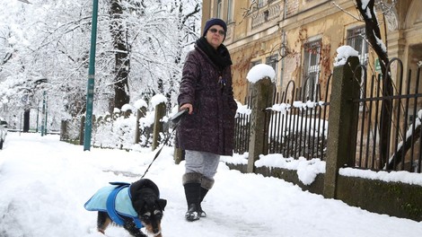 Na območju Sarajeva in Bijeljine ponekod zapadlo več kot pol metra snega