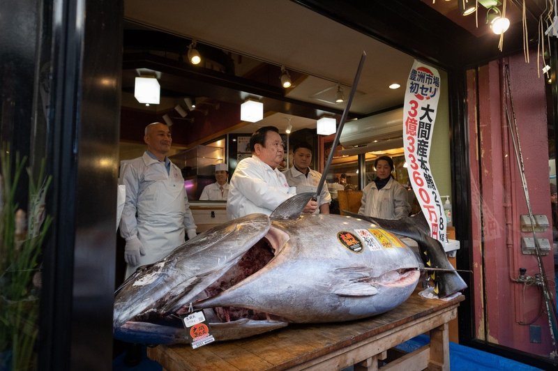 Modroplavutega tuna prodali za rekordnih 2,7 milijona evrov (foto: Profimedia)