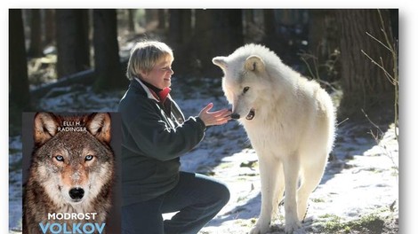 Avtorica knjige Modrost volkov prihaja tudi v Slovenijo