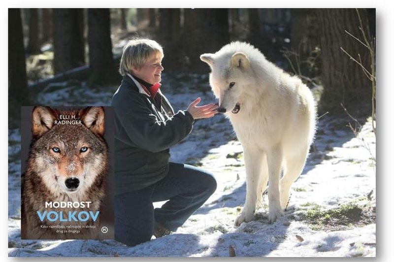 Avtorica knjige Modrost volkov prihaja tudi v Slovenijo (foto: emka.si, Mladinska knjiga)