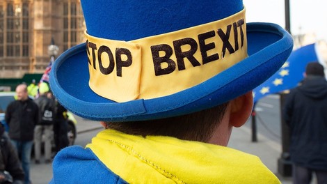 Več kot sto evropskih poslancev poziva Britance k zaustavitvi brexita