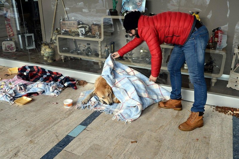 Turški zobozdravnik v mrzlem Istanbulu zavija potepuške pse in mačke v odeje (foto: profimedia)
