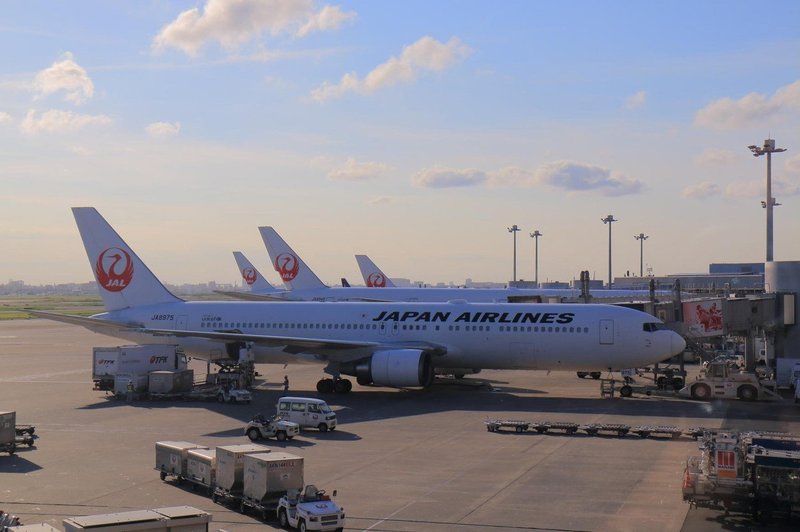 Samovozeči avtobus naj bi potnike na tokijskem letališču začel prevažati ob olimpijskih igrah 2020 (foto: profimedia)