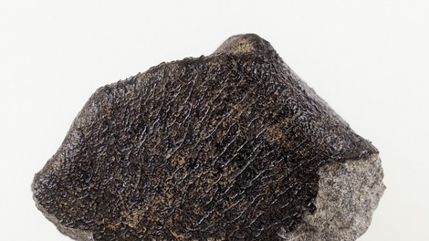 Meteorit, ki so ga najprej opazili nad Florido, je potem razneslo nad Kubo