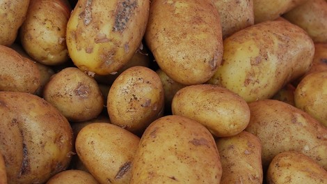 V Hongkongu med krompirjem iz Francije našli neeksplodirano ročno granato iz prve vojne