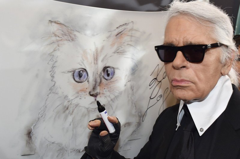 Lagerfeldovo premoženje bi lahko podedovala njegova mačka (foto: profimedia)