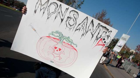 Monsanto bo bolniku z rakom moral odšteti 80 milijonov dolarjev odškodnine