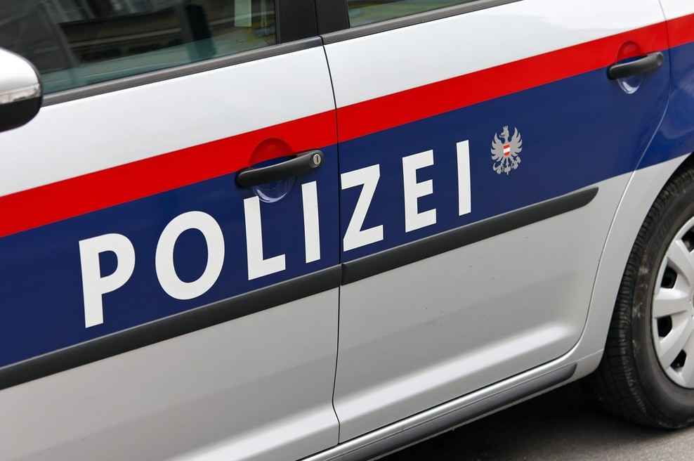 Dunajčane pretresa brutalen in bizaren umor sina znanega zdravnika (foto: profimedia)