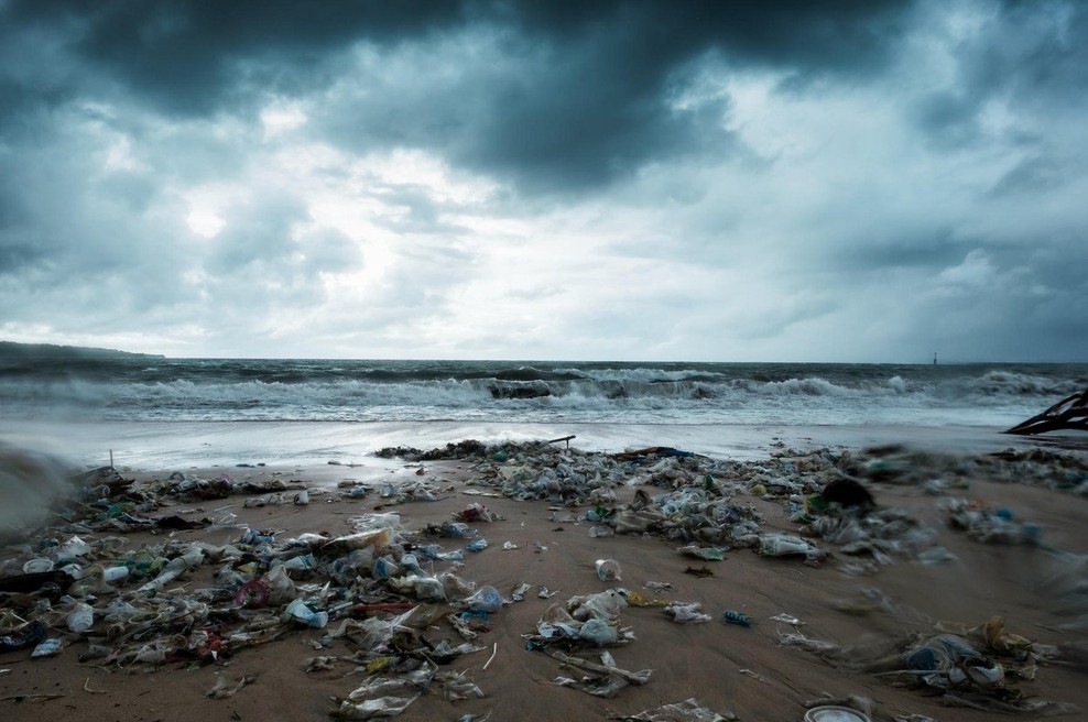 Pred Sardinijo naplavilo kitovko z več kot 20 kilogrami plastike v želodcu (foto: profimedia)