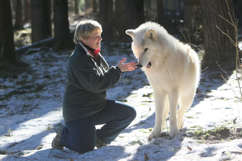 Elli H. Radinger: Ženska, ki nam je odkrila modrost volkov (foto: Tanja Askani)