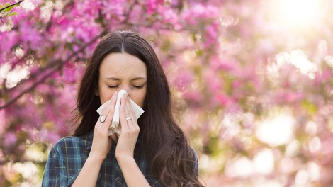 Alergije: Ačiiiiih – cvetni prah