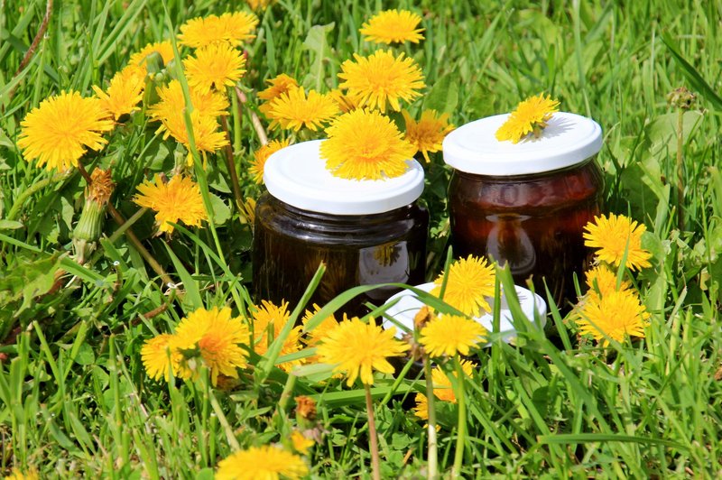 Regratov med je tako kot druge vrste medu naravna sladka snov, ki jo izdelajo čebele. (foto: Sh)